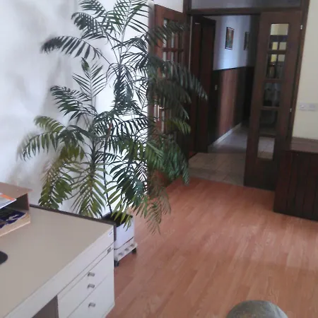 Apartment Viki *
