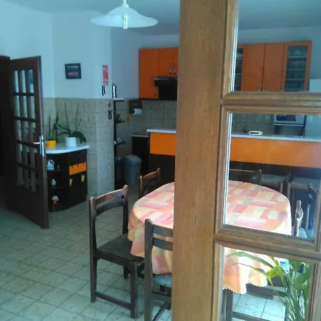 Apartment Viki