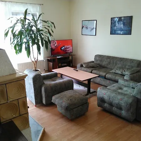 Apartment Viki *