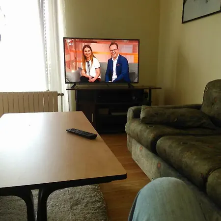 Apartment Viki *